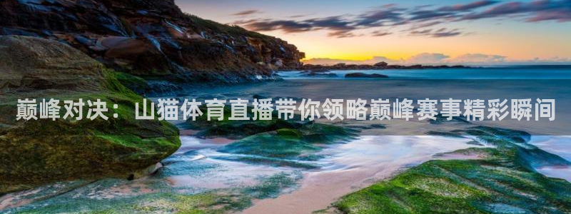 nba小九直播在线观看：巅峰对决：山猫体育直播带你领略巅峰赛事精彩瞬间