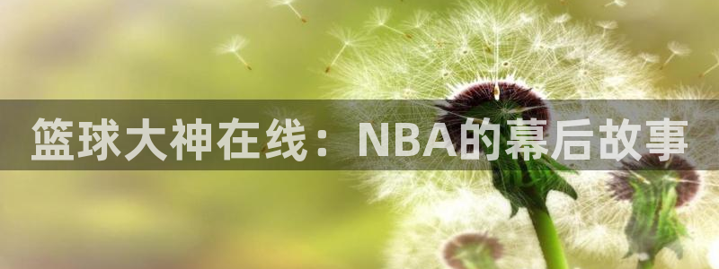 小九直播免费足球观看：篮球大神在线：NBA的幕后故事