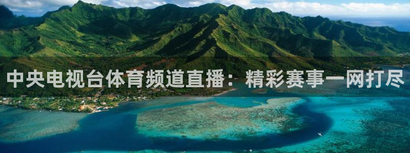 足球直播小九直播在线观看