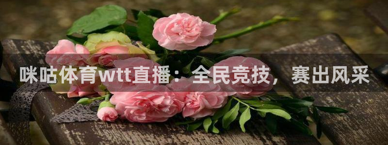 nba在线直播小九直播