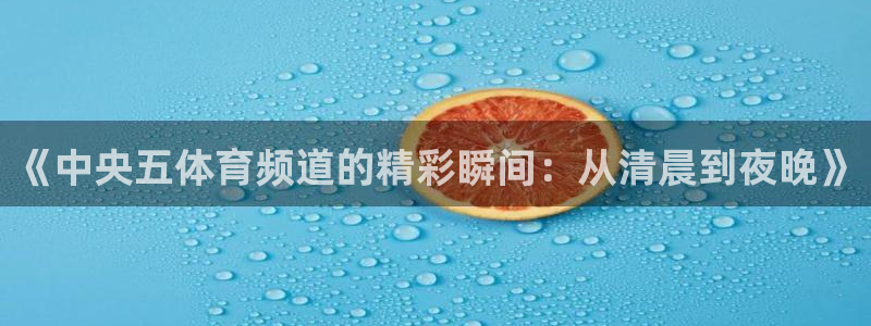 小九直播足球在线观看