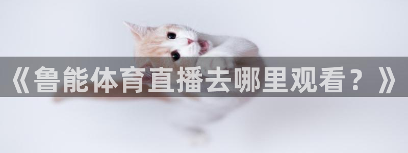 nba直播小九直播在线观看：《鲁能体育直播去哪里观看？》