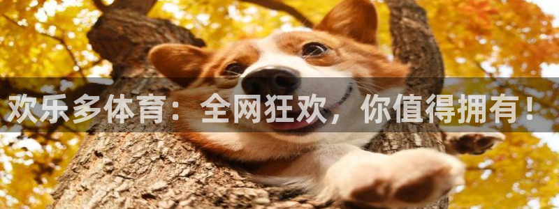 小九直播体育免费直播：欢乐多体育：全网狂欢，你值得拥有！