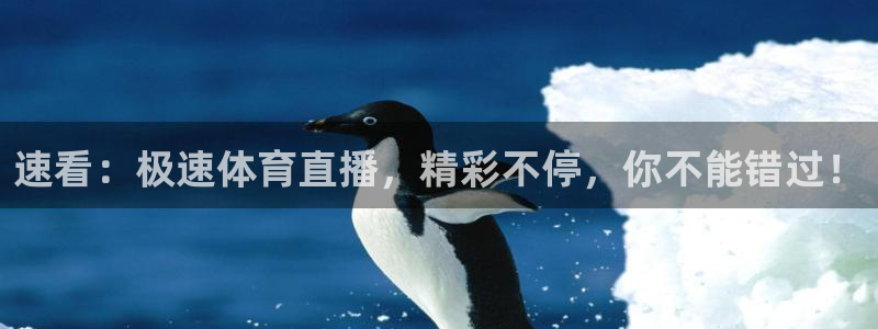 nba小九直播免费观看