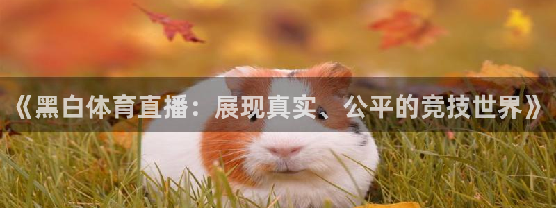 小九直播免费体育直播：《黑白体育直播：展现真实、公平的竞技世界》